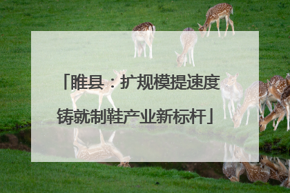 睢县：扩规模提速度 铸就制鞋产业新标杆