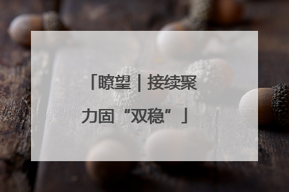 瞭望｜接续聚力固“双稳”