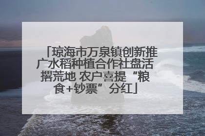琼海市万泉镇创新推广水稻种植合作社盘活撂荒地 农户喜提“粮食+钞票”分红