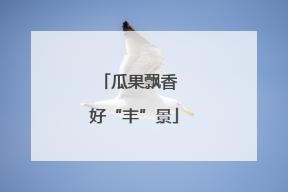 瓜果飘香 好“丰”景