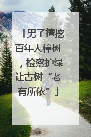 男子擅挖百年大樟树，检察护绿让古树“老有所依”
