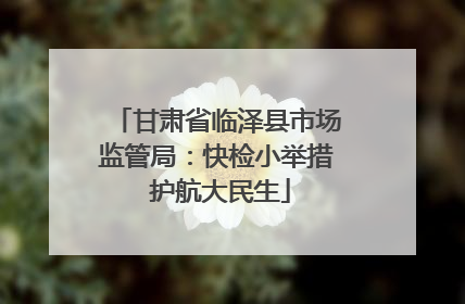 甘肃省临泽县市场监管局：快检小举措 护航大民生