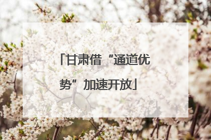 甘肃借“通道优势”加速开放