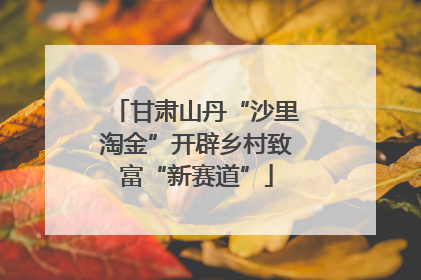 甘肃山丹“沙里淘金”开辟乡村致富“新赛道”