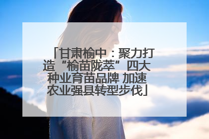 甘肃榆中：聚力打造“榆苗陇萃”四大种业育苗品牌 加速农业强县转型步伐