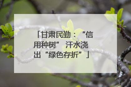 甘肃民勤：“信用种树” 汗水浇出“绿色存折”