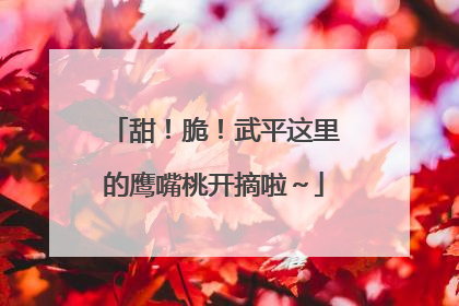 甜！脆！武平这里的鹰嘴桃开摘啦～