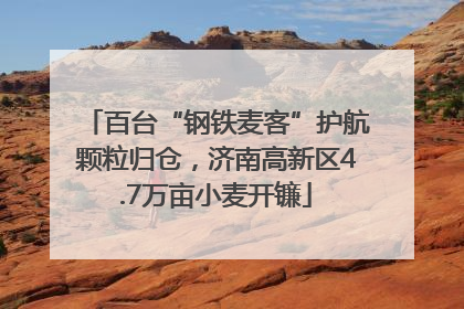 百台“钢铁麦客”护航颗粒归仓，济南高新区4.7万亩小麦开镰