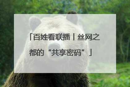 百姓看联播丨丝网之都的“共享密码”