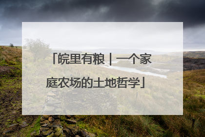 皖里有粮｜一个家庭农场的土地哲学