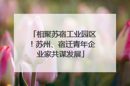 相聚苏宿工业园区！苏州、宿迁青年企业家共谋发展