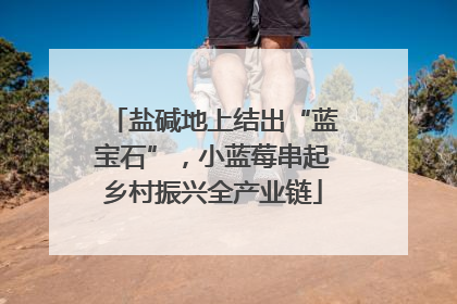 盐碱地上结出“蓝宝石”，小蓝莓串起乡村振兴全产业链
