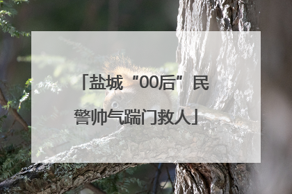 盐城“00后”民警帅气踹门救人