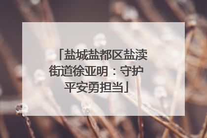 盐城盐都区盐渎街道徐亚明：守护平安勇担当