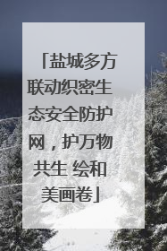 盐城多方联动织密生态安全防护网，护万物共生 绘和美画卷
