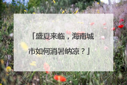 盛夏来临，海南城市如何消暑纳凉？