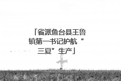 省派鱼台县王鲁镇第一书记护航“三夏”生产