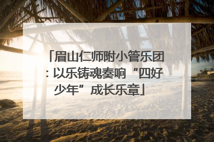 眉山仁师附小管乐团：以乐铸魂奏响“四好少年”成长乐章