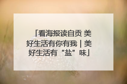 看海报读自贡 美好生活有你有我｜美好生活有“盐”味