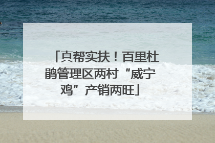真帮实扶！百里杜鹃管理区两村“威宁鸡”产销两旺
