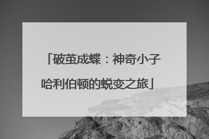破茧成蝶：神奇小子哈利伯顿的蜕变之旅