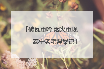 砖瓦重吟 烟火重现——泰宁老宅涅槃记