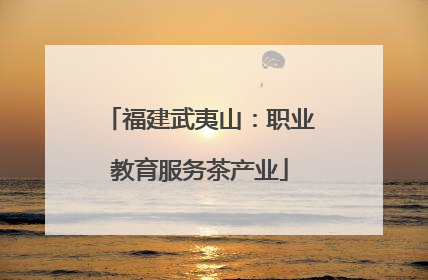 福建武夷山：职业教育服务茶产业