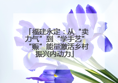 福建永定：从“卖力气”到“学手艺”“赈”能量激活乡村振兴内动力