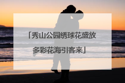 秀山公园绣球花盛放 多彩花海引客来
