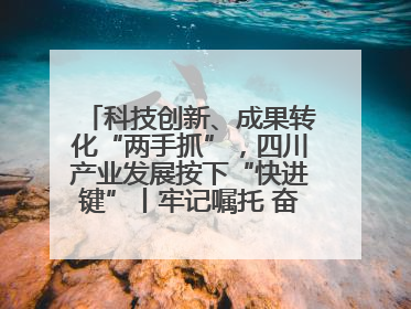 科技创新、成果转化“两手抓”，四川产业发展按下“快进键”丨牢记嘱托 奋力打造两高地两基地一屏障