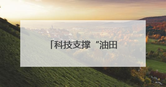 科技支撑“油田”蜕变，东营盐碱地油菜丰收忙