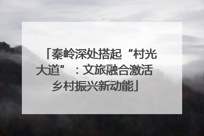 秦岭深处搭起“村光大道”：文旅融合激活乡村振兴新动能