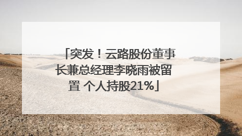 突发！云路股份董事长兼总经理李晓雨被留置 个人持股21%