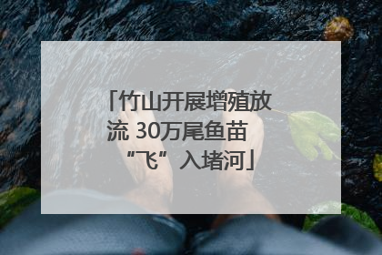 竹山开展增殖放流 30万尾鱼苗“飞”入堵河