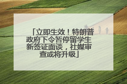 立即生效！特朗普政府下令暂停留学生新签证面谈，社媒审查或将升级