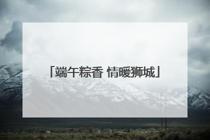 端午粽香 情暖狮城
