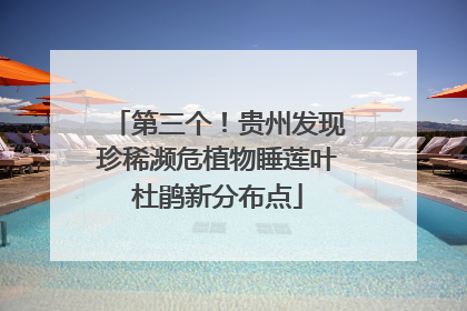 第三个！贵州发现珍稀濒危植物睡莲叶杜鹃新分布点