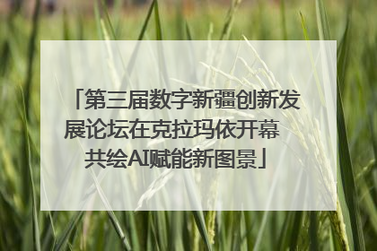 第三届数字新疆创新发展论坛在克拉玛依开幕 共绘AI赋能新图景
