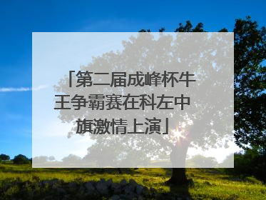 第二届成峰杯牛王争霸赛在科左中旗激情上演