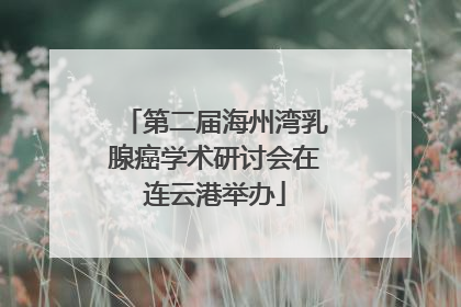 第二届海州湾乳腺癌学术研讨会在连云港举办