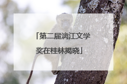 第二届漓江文学奖在桂林揭晓