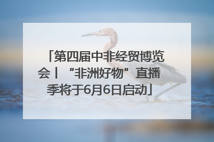 第四届中非经贸博览会丨“非洲好物”直播季将于6月6日启动