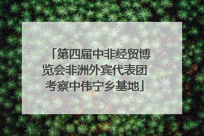 第四届中非经贸博览会非洲外宾代表团考察中伟宁乡基地