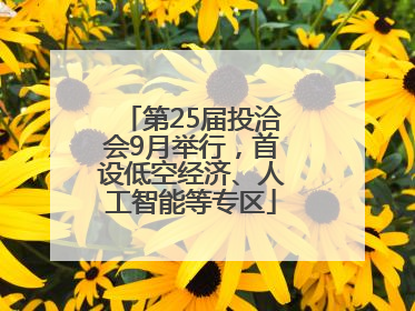 第25届投洽会9月举行，首设低空经济、人工智能等专区