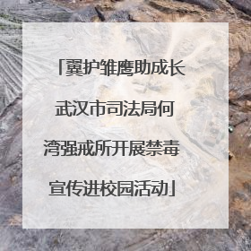 翼护雏鹰助成长 武汉市司法局何湾强戒所开展禁毒宣传进校园活动