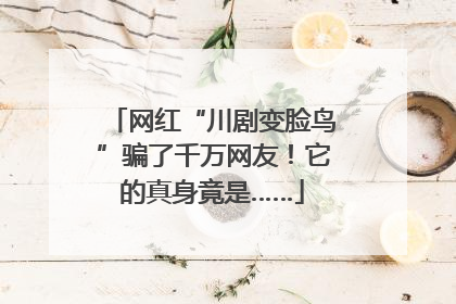 网红“川剧变脸鸟”骗了千万网友！它的真身竟是……