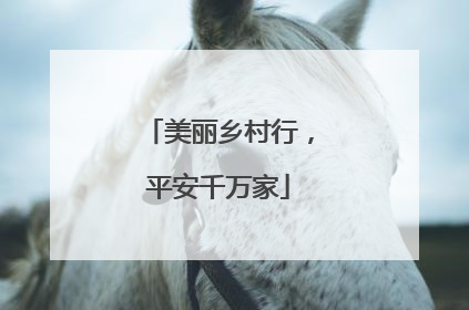 美丽乡村行，平安千万家