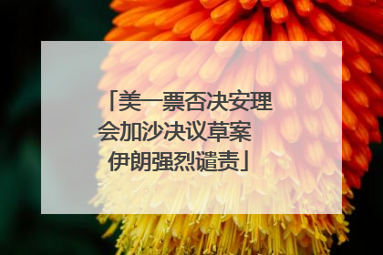 美一票否决安理会加沙决议草案 伊朗强烈谴责