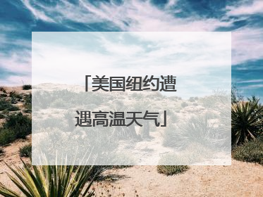 美国纽约遭遇高温天气