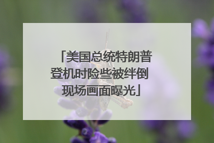美国总统特朗普登机时险些被绊倒 现场画面曝光
